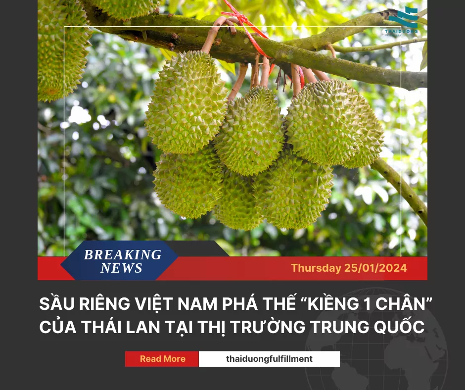 Sầu riêng Việt Nam phá thế “kiềng 1 chân” của Thái Lan tại thị trường Trung Quốc
